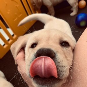 Meet your Posher, Kelsey